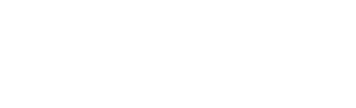 Pfaff Motorsports